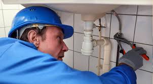 Best Garbage Disposal Repair and Installation  in Welcome, SC